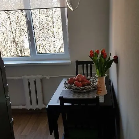 Close To Airport Riga